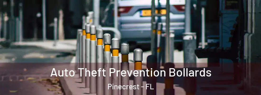 Auto Theft Prevention Bollards Pinecrest - FL