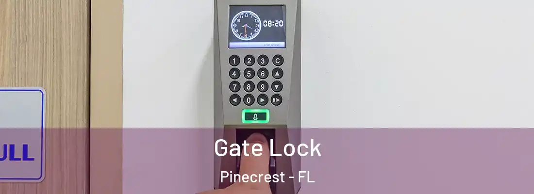 Gate Lock Pinecrest - FL