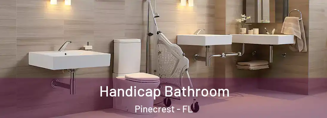 Handicap Bathroom Pinecrest - FL