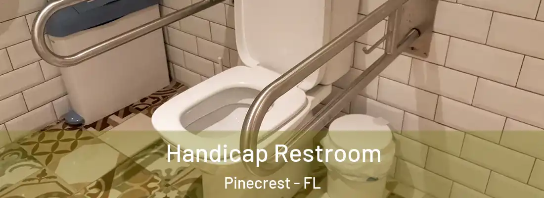  Handicap Restroom Pinecrest - FL