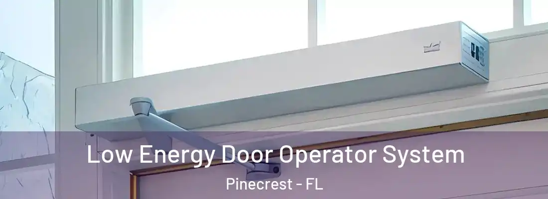 Low Energy Door Operator System Pinecrest - FL