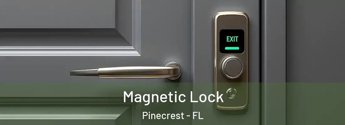 Magnetic Lock Pinecrest - FL