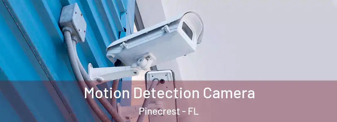 Motion Detection Camera Pinecrest - FL