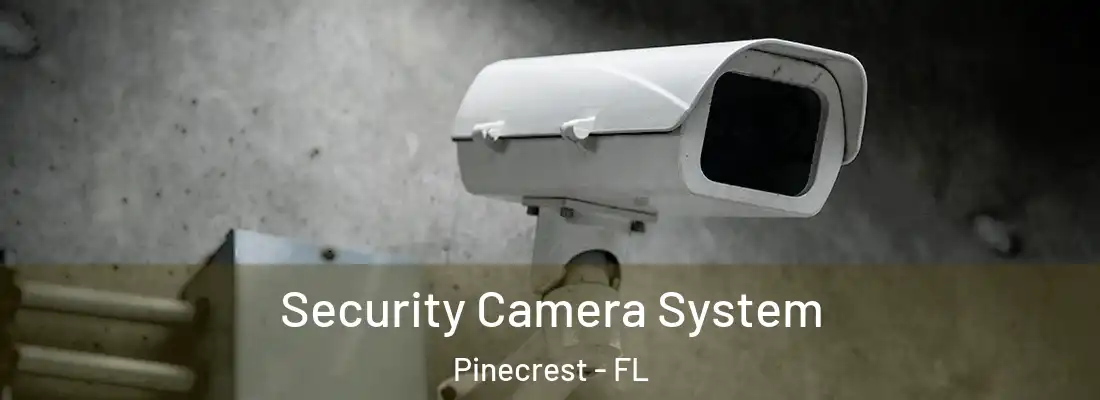 Security Camera System Pinecrest - FL
