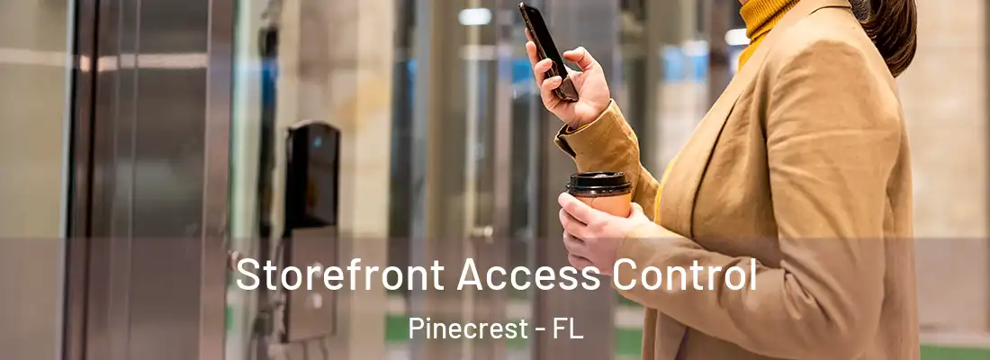 Storefront Access Control Pinecrest - FL